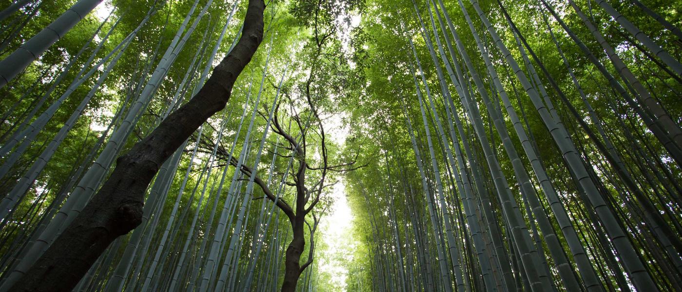 山河棋牌 - 绿色国风棋牌大厅